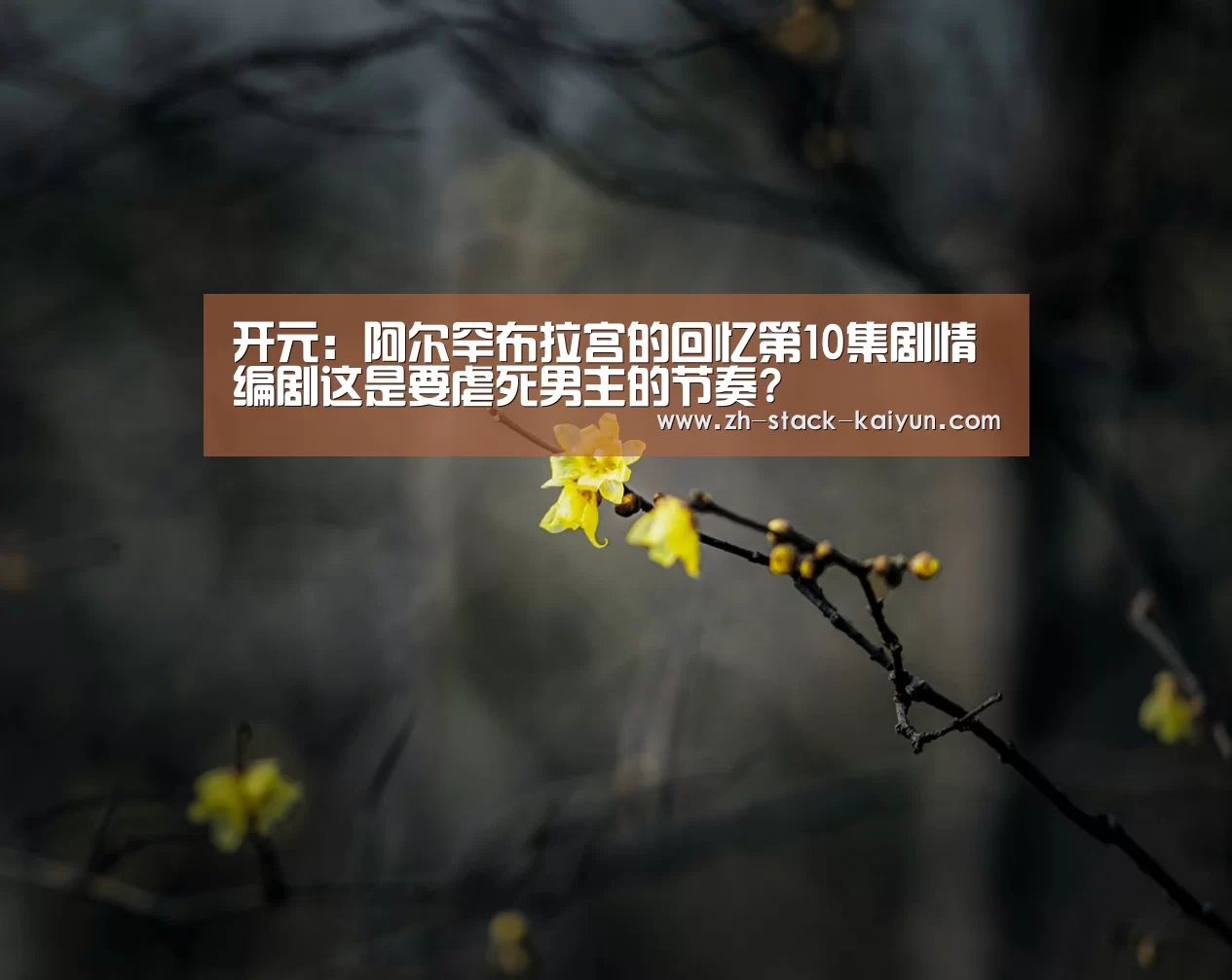 开元:阿尔罕布拉宫的回忆第10集剧情 编剧这是要虐死男主的节奏?(图4) 开云登录