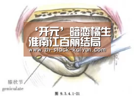 开云登录